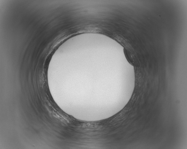 X0000080150338200701051545