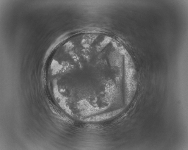 X0000080150343200701051545