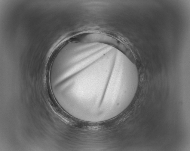 X0000080150344200701051545