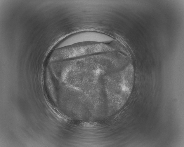 X0000080150346200701051545