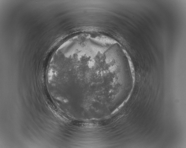 X0000080150347200701051545