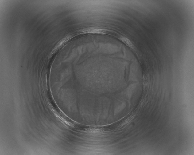 X0000080150349200701051545