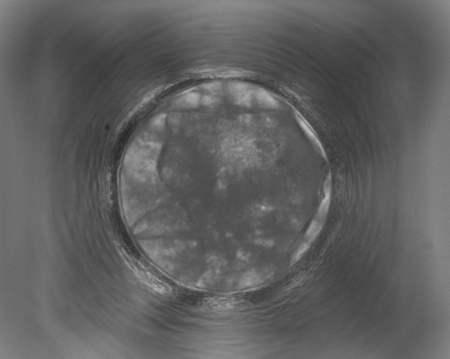 X0000080150351200701051545