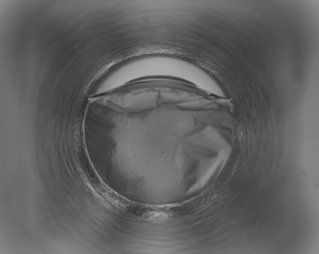 X0000080150352200701051545