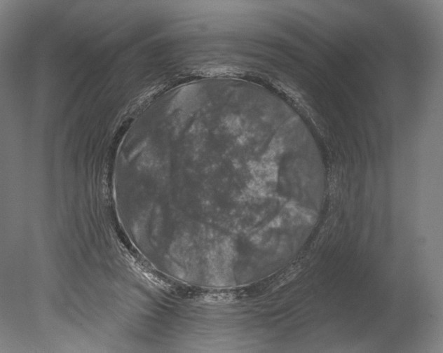 X0000080150353200701051545