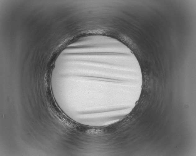 X0000080150354200701051545