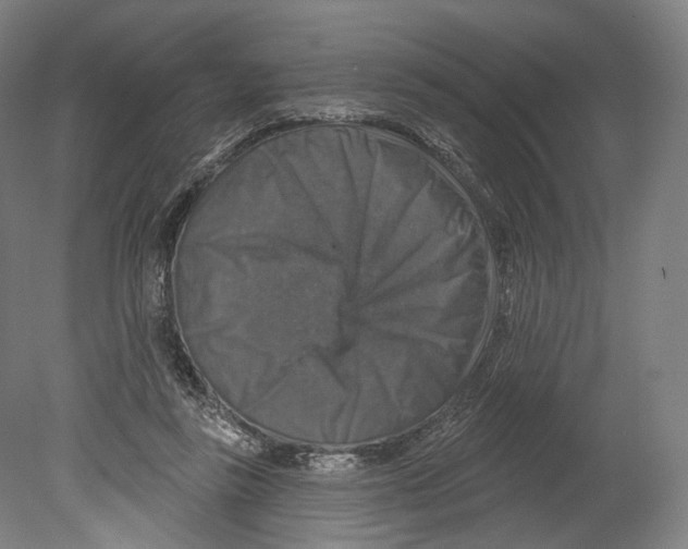 X0000080150355200701051545