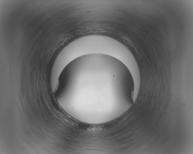 X0000080150362200701051545