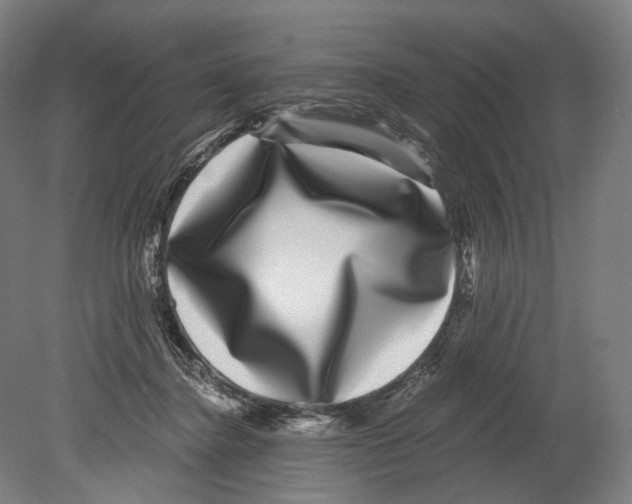 X0000080150364200701051545