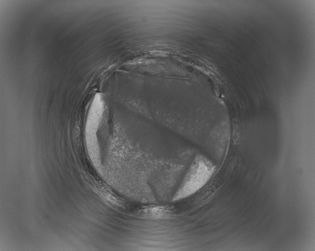 X0000080150365200701051545