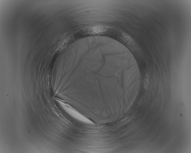 X0000080150366200701051545