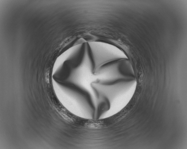 X0000080150368200701051545