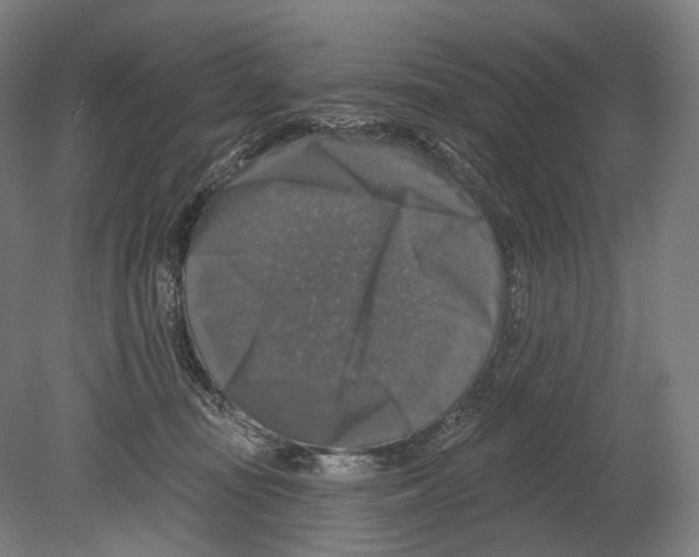X0000080150371200701051545