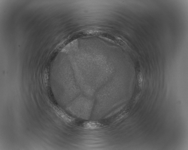 X0000080150372200701051545