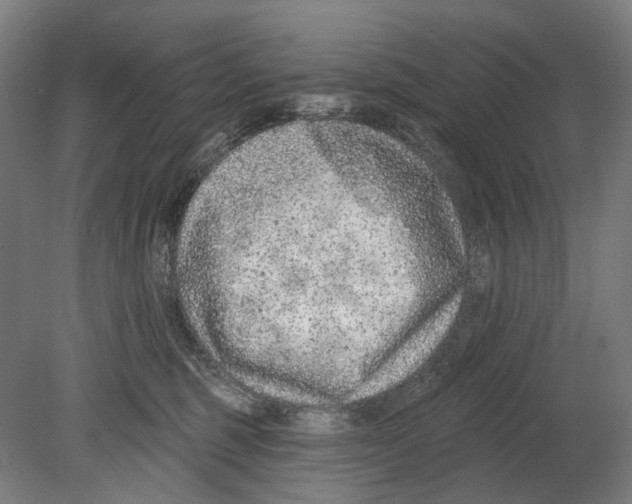 X0000080150375200701051545