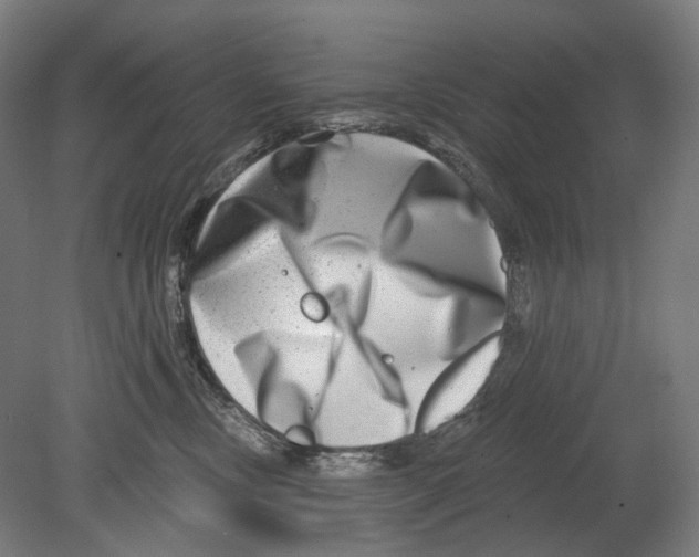 X0000080150378200701051546