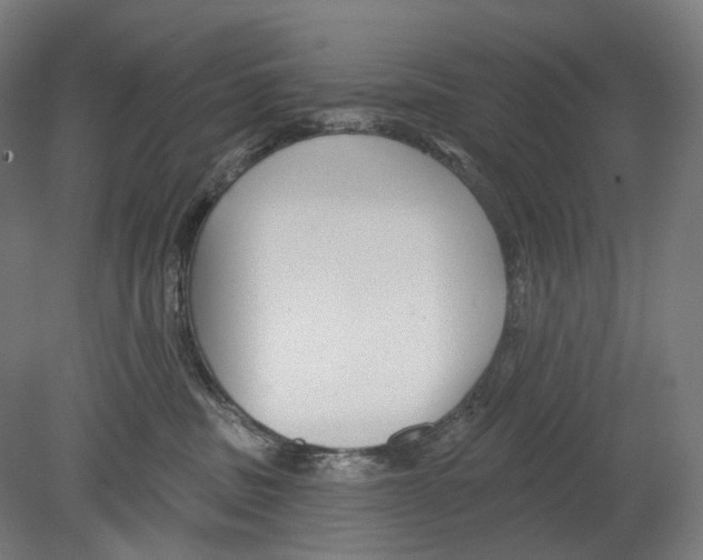 X0000080150379200701051546