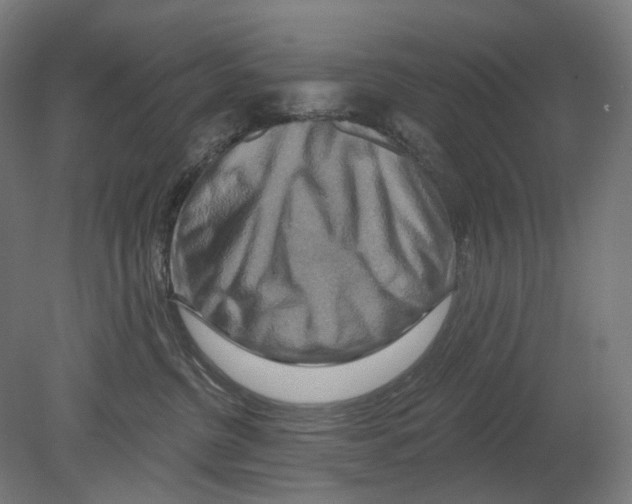 X0000080150380200701051546