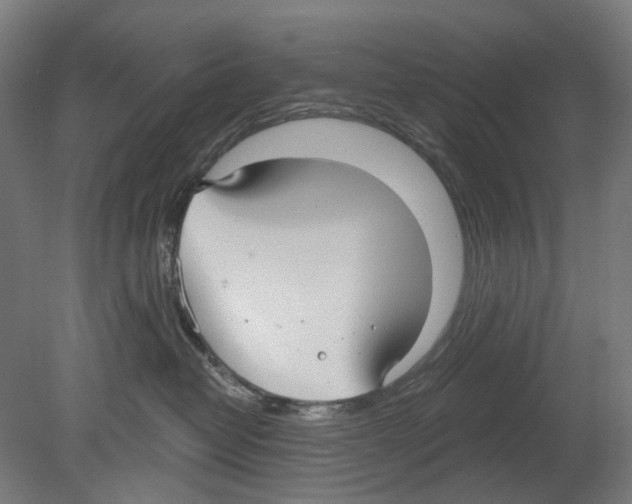 X0000080150382200701051546