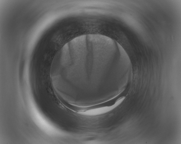 X0000080150383200701051546