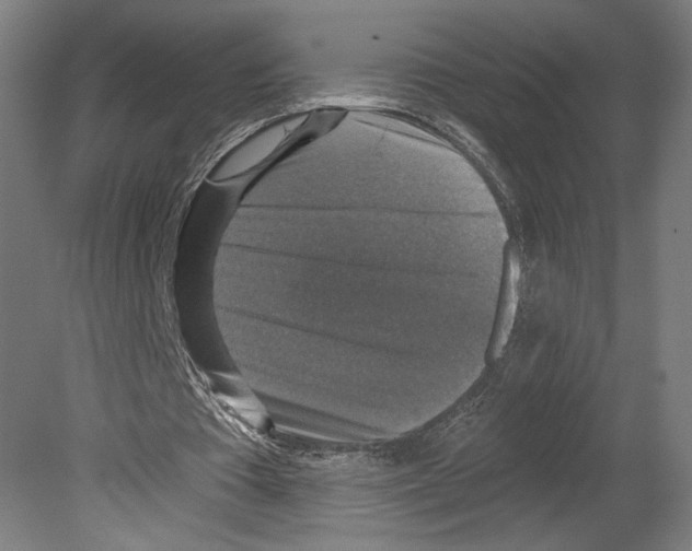 X0000080150385200701051545