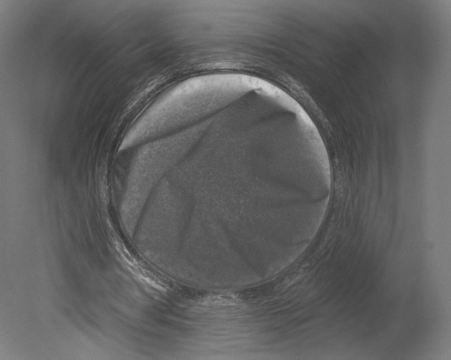 X0000080150386200701051545