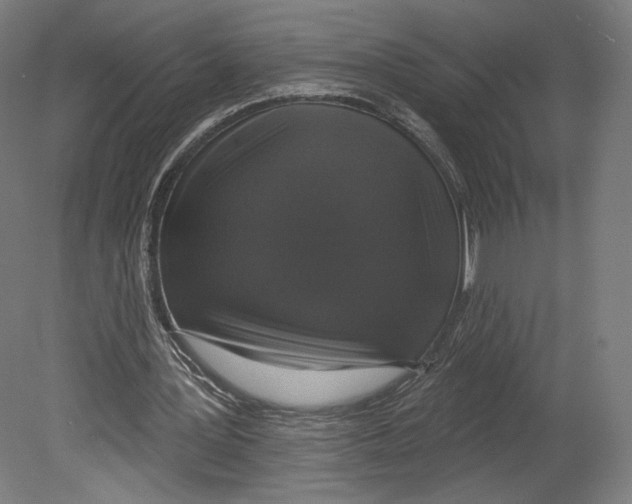 X0000080150387200701051545