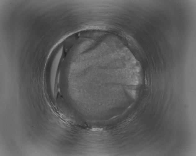 X0000080150388200701051545