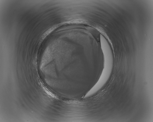 X0000080150389200701051545