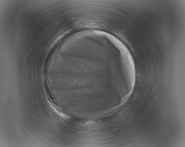 X0000080150390200701051545