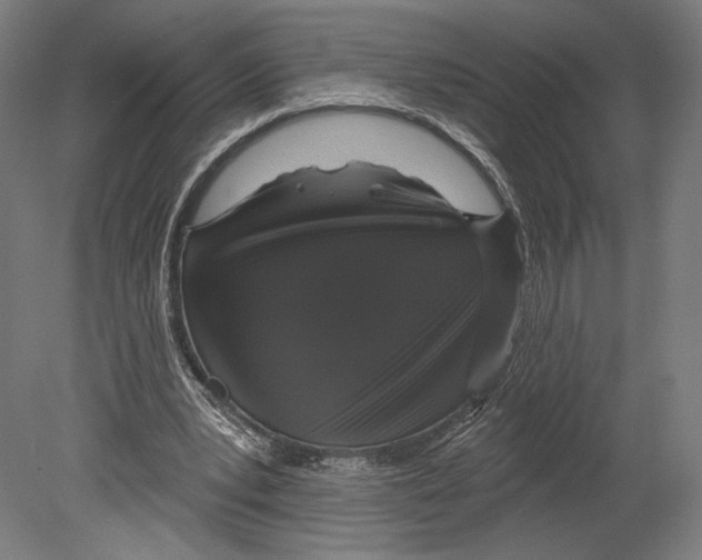 X0000080150391200701051545