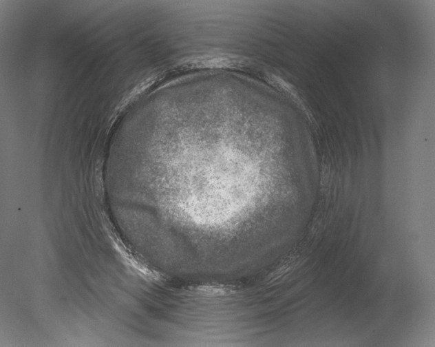 X0000080150394200701051545