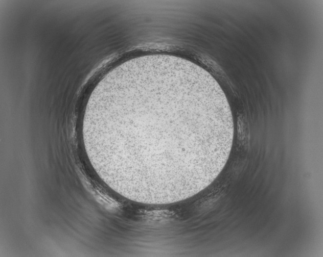 X0000080150396200701051545
