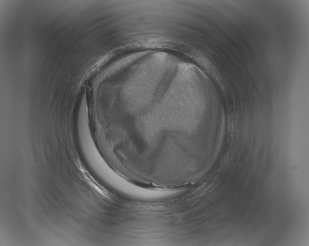 X0000080150397200701051545