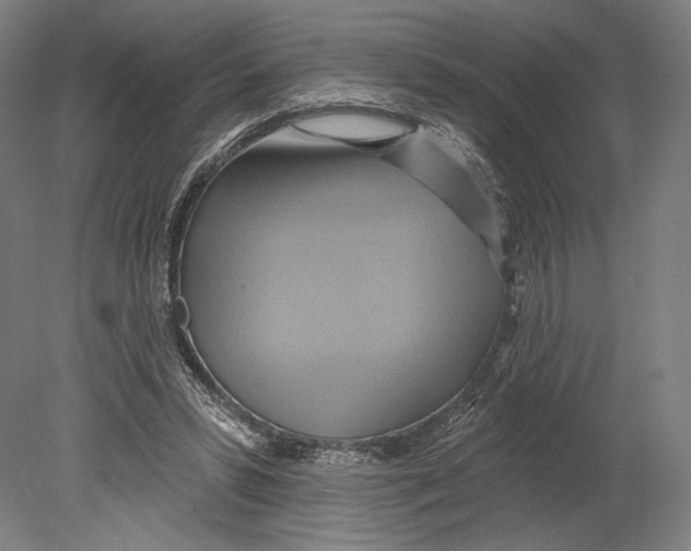 X0000080150399200701051545