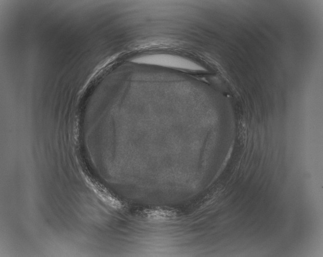 X0000080150400200701051545