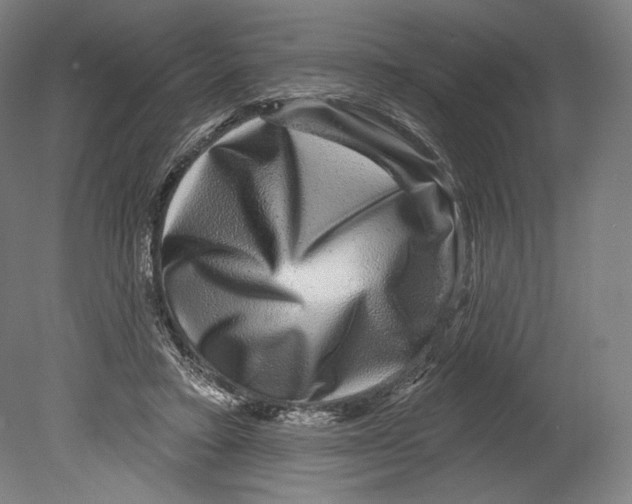 X0000080150403200701051545