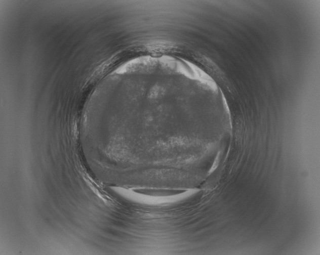 X0000080150405200701051545
