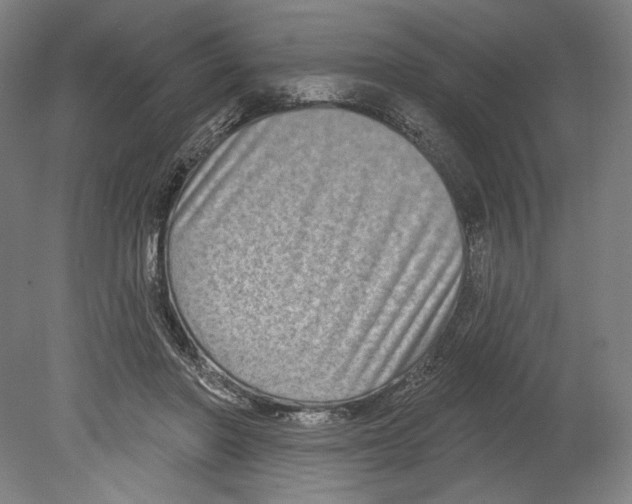 X0000080150406200701051544