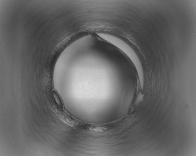 X0000080150407200701051544