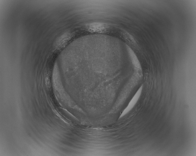 X0000080150408200701051544