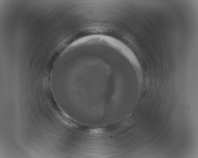 X0000080150411200701051544