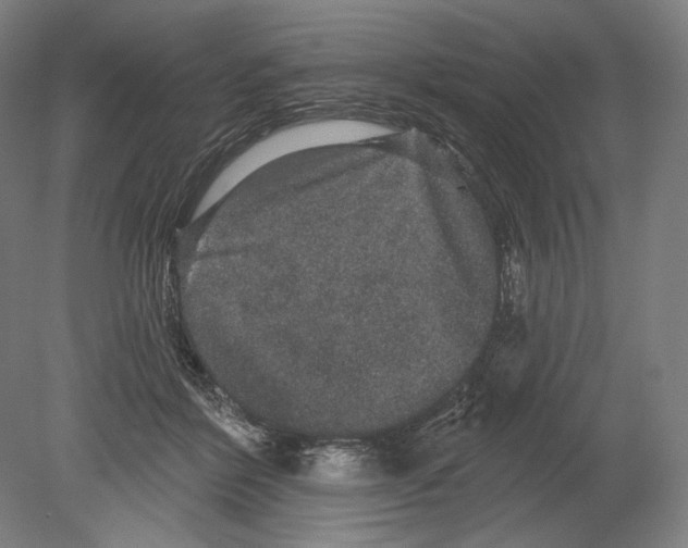 X0000080150412200701051544