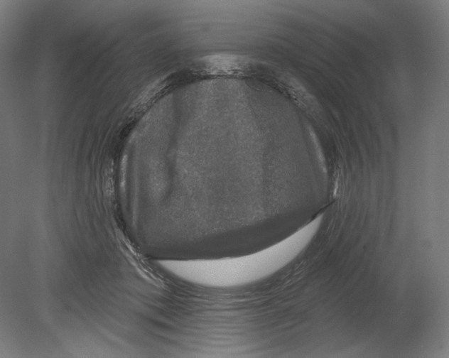 X0000080150413200701051544