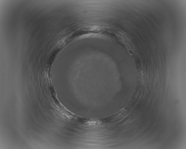 X0000080150415200701051544