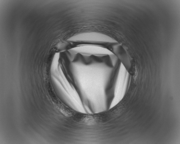X0000080150416200701051544