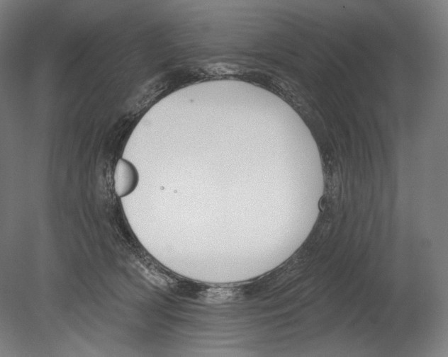 X0000080150418200701051544