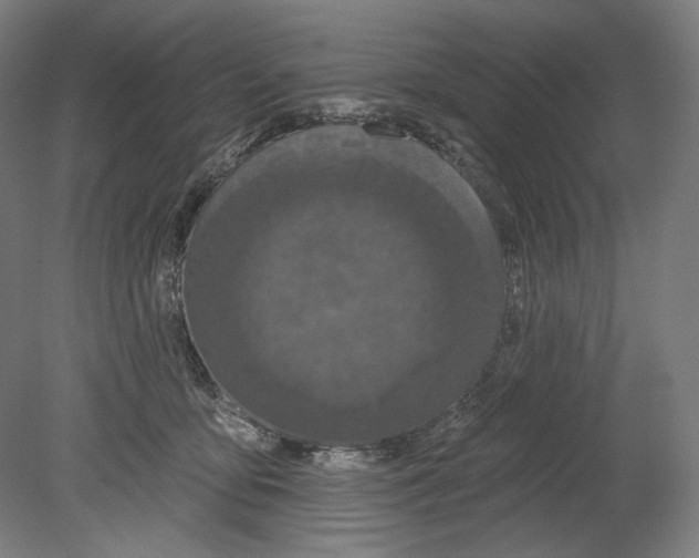 X0000080150419200701051544