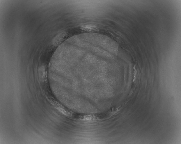 X0000080150420200701051544