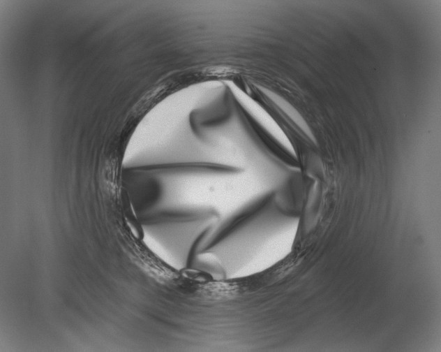 X0000080150421200701051544